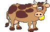 cow/vache